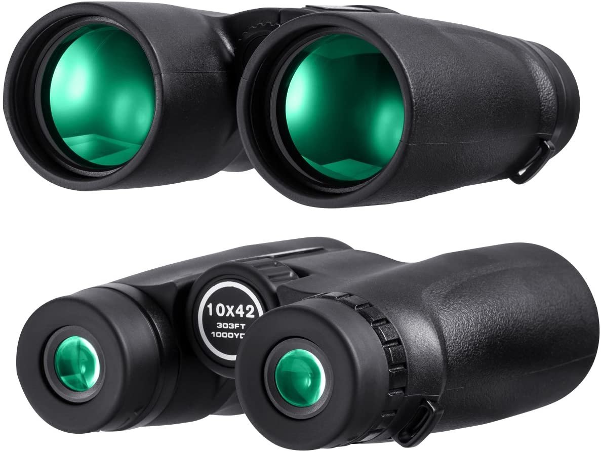 BNISE 10×42